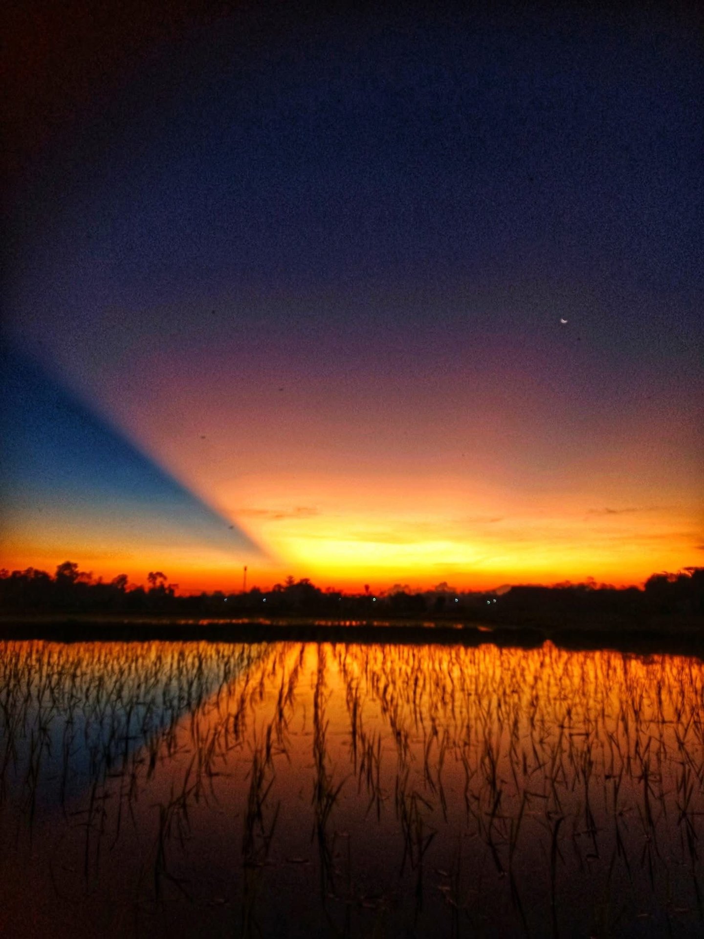 Sonnenuntergang über den Reisfeldern